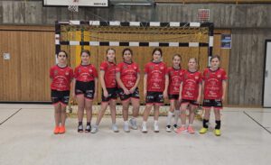 Mehr über den Artikel erfahren Spieltag der weiblichen E-Jugend: HSG Leudelsbach 2 in Asperg